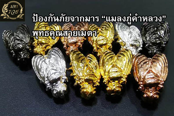 ป้องกันภัยจากมาร “แมลงภู่คำหลวง” พุทธคุณสายเมตา l ของขลัง แมลงภู่คำหลวง